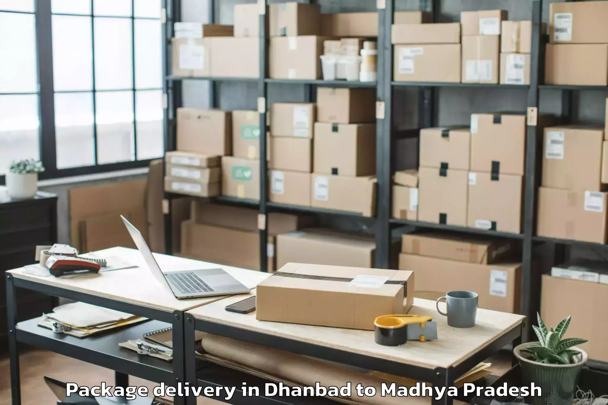 Professional Dhanbad to Jawaharlal Nehru Krishi Vishwa Package Delivery